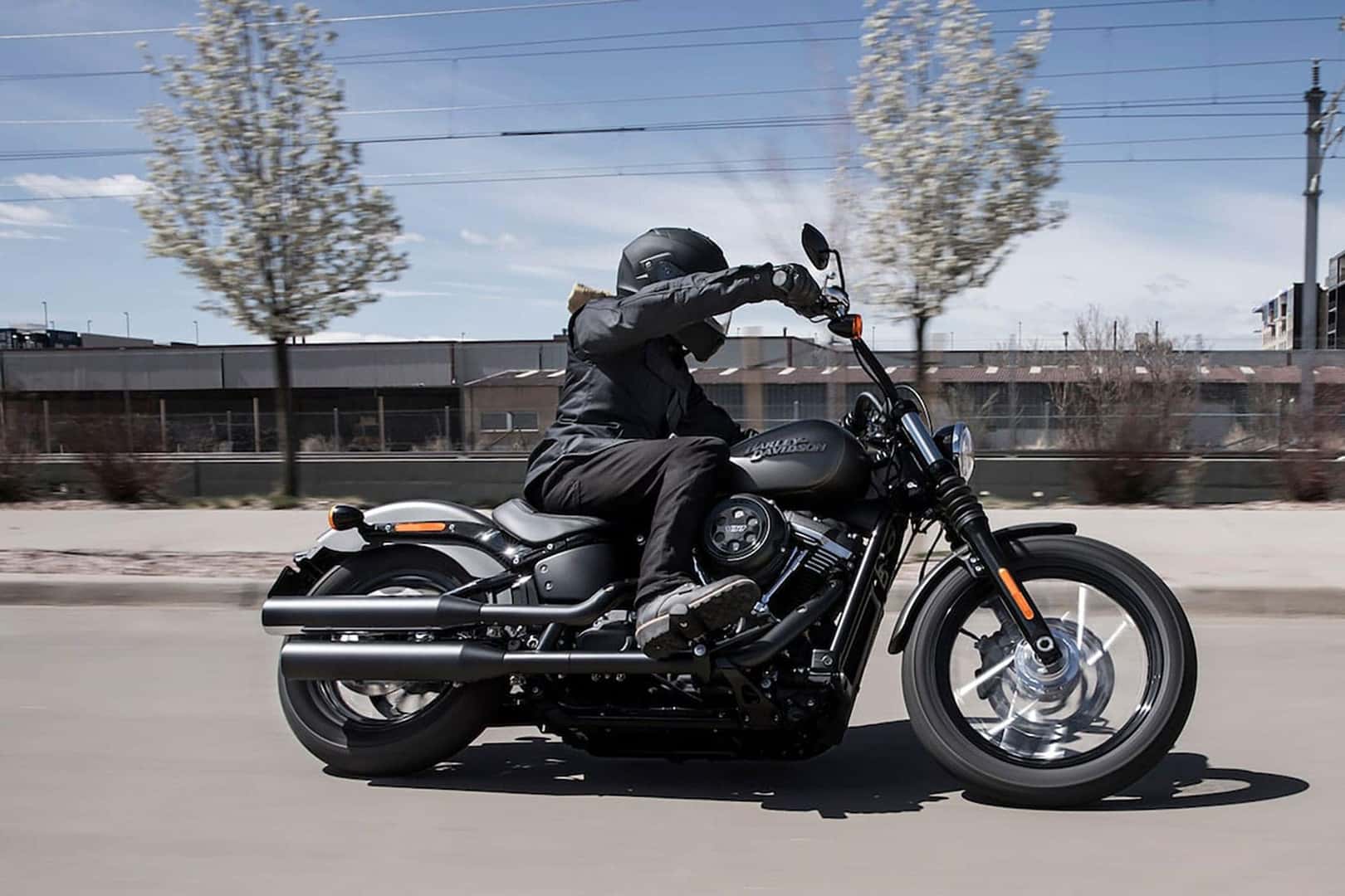 2019 Softail banner