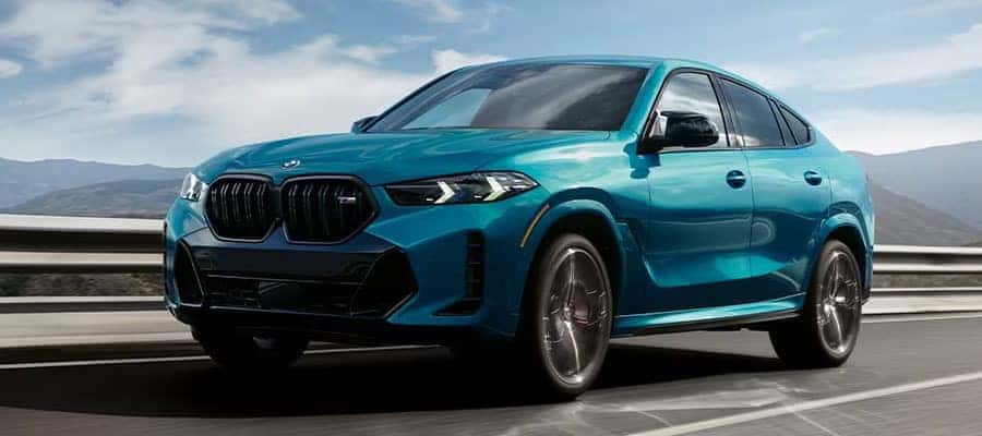 Standard Hood Fender & Mirrors | BMW X6 BASE 2017
