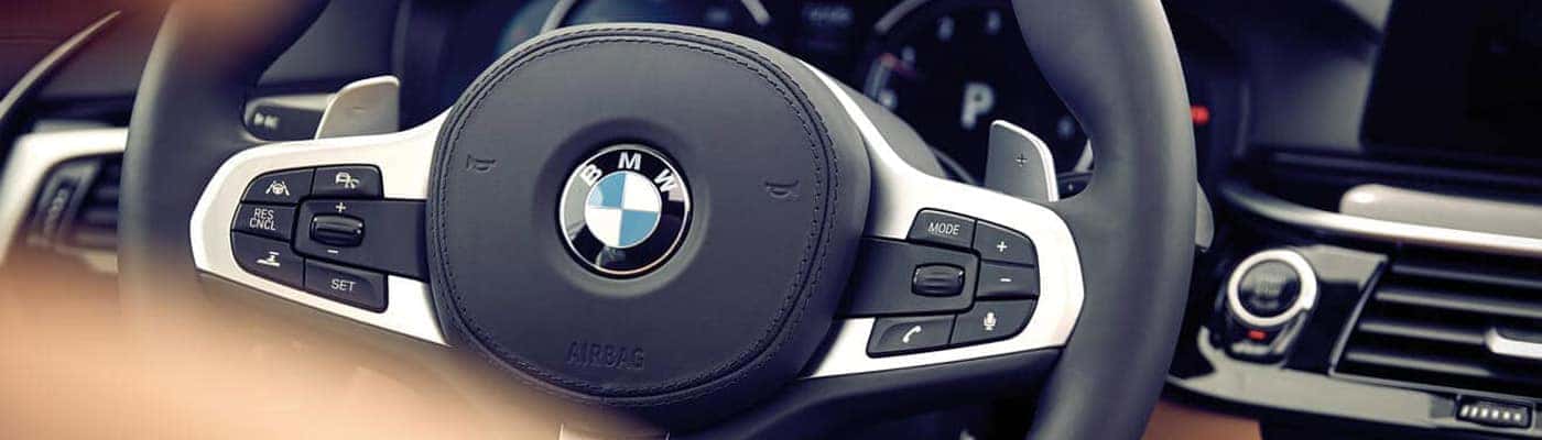 What does the BMW logo mean?