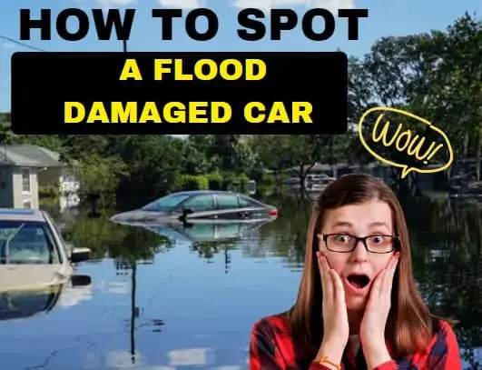 Shoreline Area News: Scam Alert: Flood-damaged cars could be for