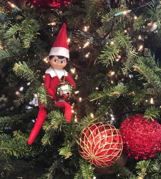 Elf on the Shelf Arrives soon –are you ready to win? | Butler Lexus of ...