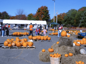 Pumpkin Parking Lot