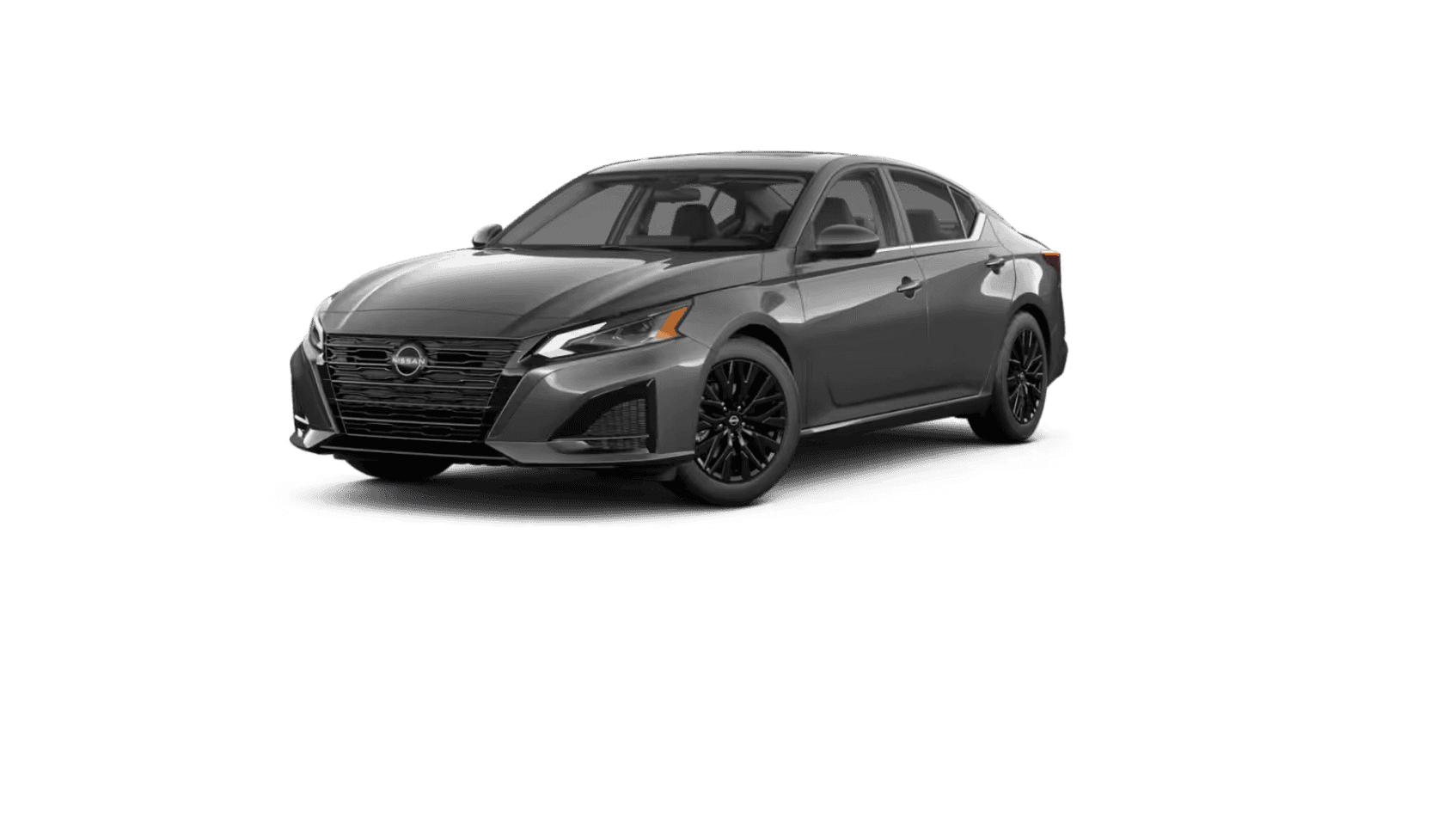 SV Special Edition