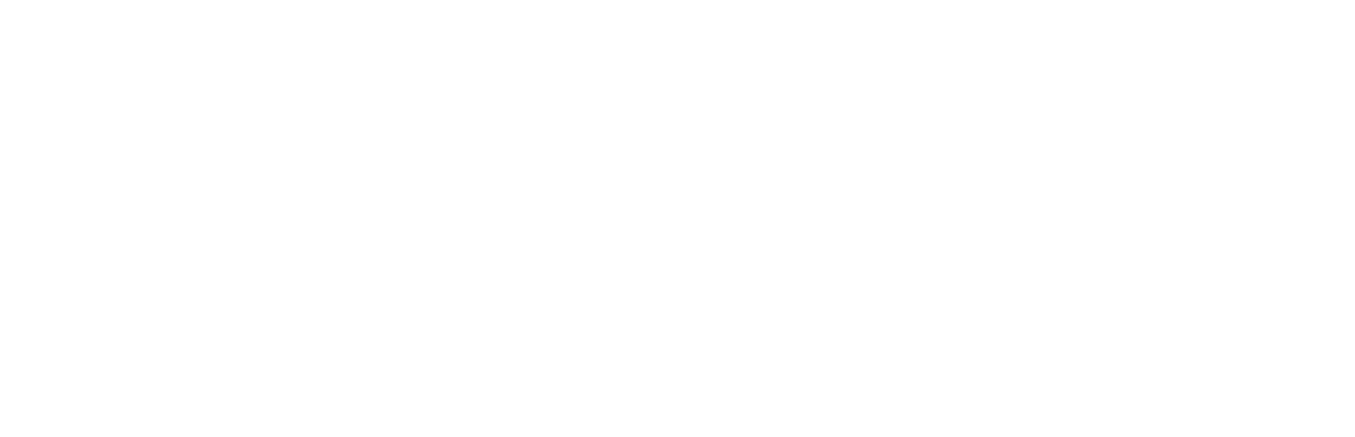 CITY-LOGO-white
