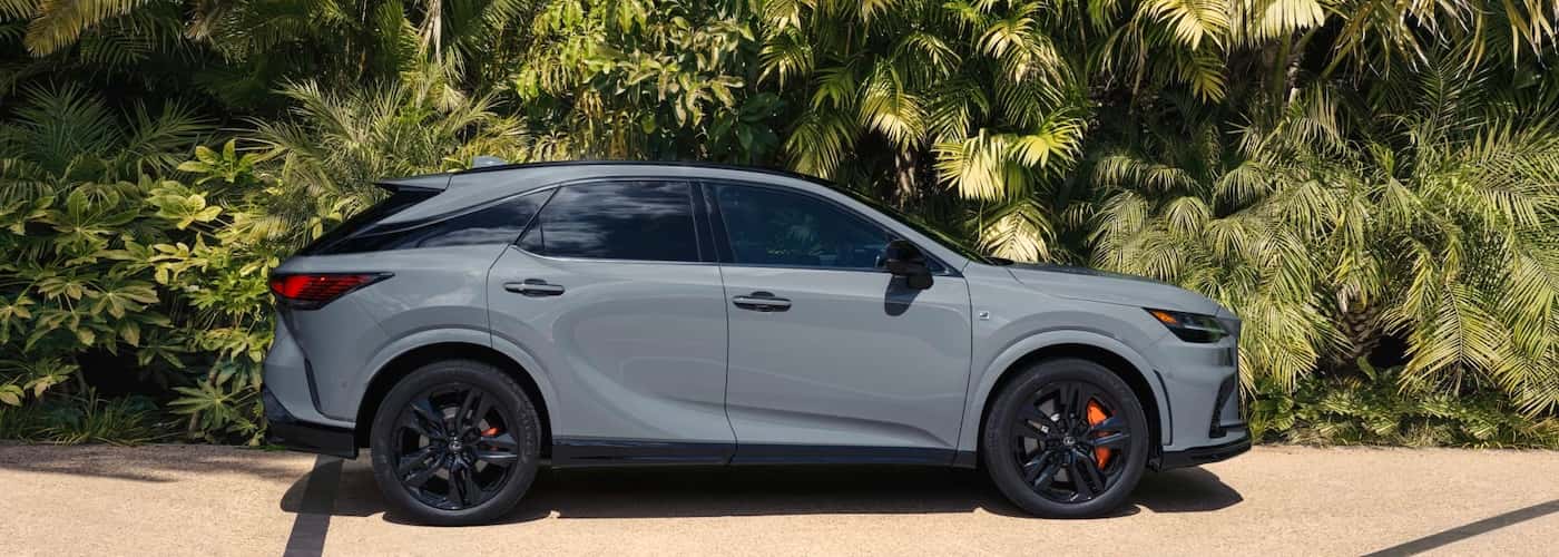 2026 Lexus RX