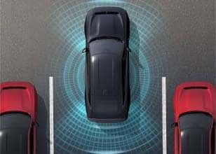 360º SURROUND VIEW CAMERA*