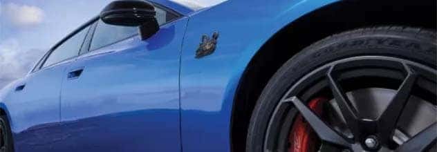DAYTONA SCAT PACK-1