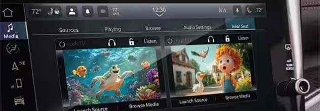 ENTERTAINMENT CONTROL