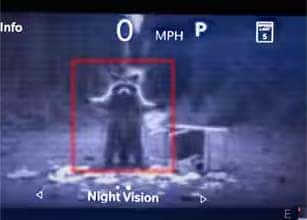 Night Vision Camera