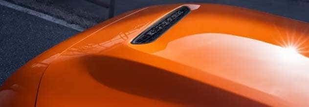PERFORMANCE HOOD