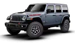 RUBICON X