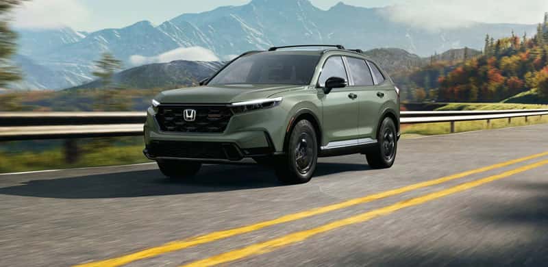 we-buy-cars