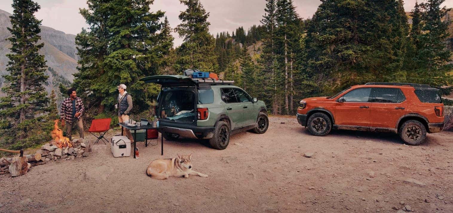 Green and orange 2026 Honda Passport for sale near New Orleans, LA