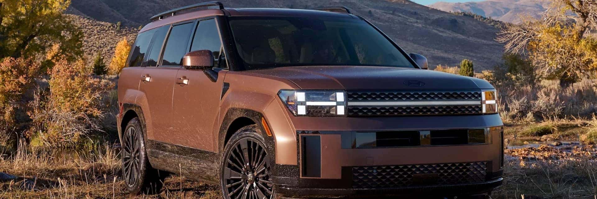 2025 Hyundai Sant Fe in South West valley