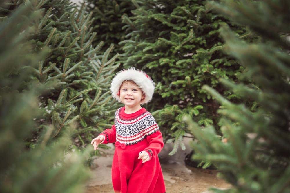 Christmas Tree Farm
