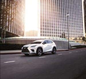 Lexus Dealer near Lynn, MA | Ira Lexus of Danvers