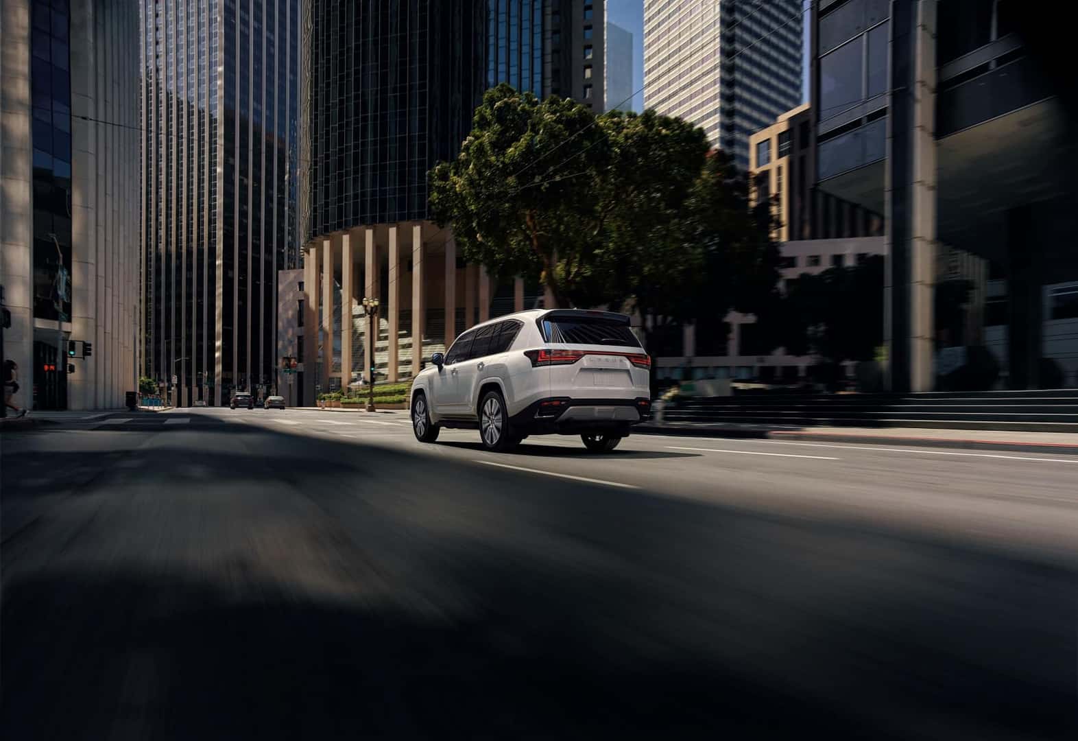 New Lexus Specials