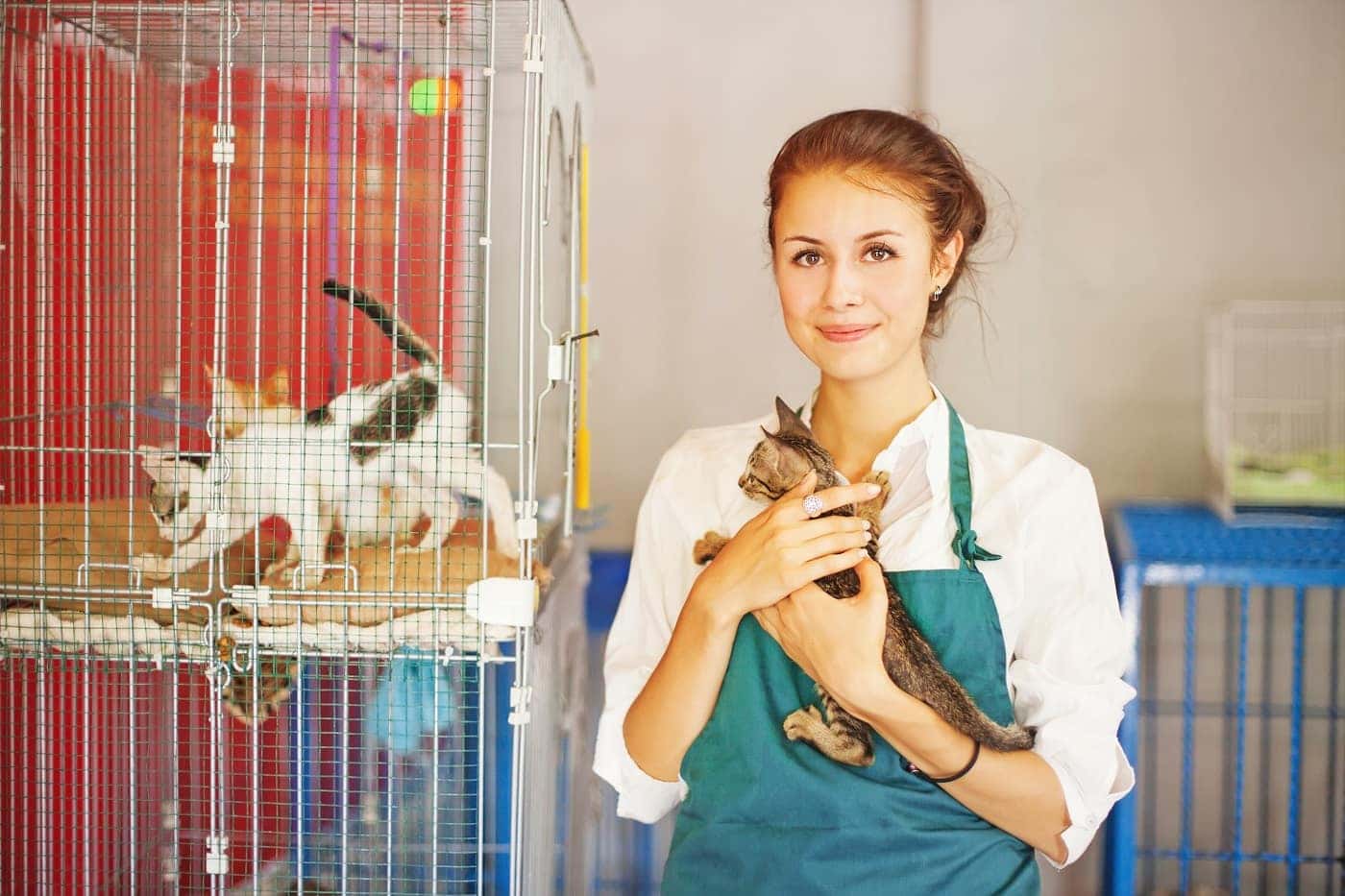 Humane Society Volunteer