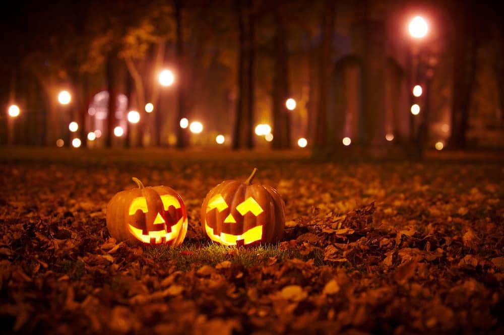 Haunted House Attraction