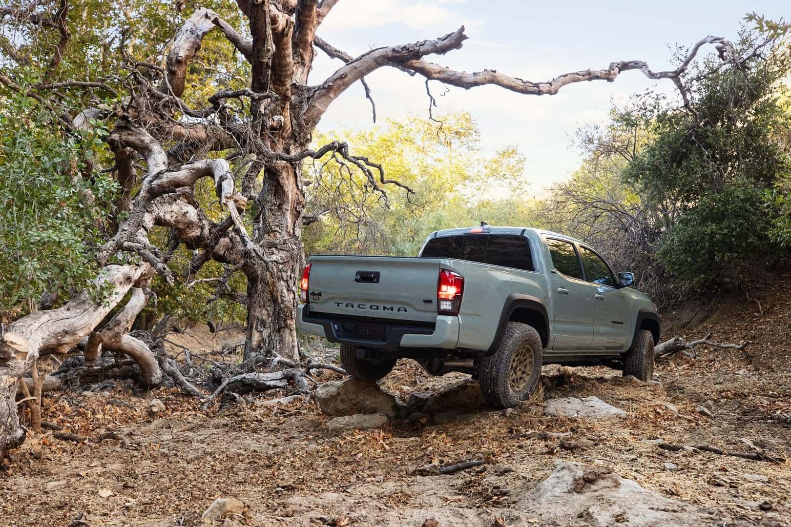 2022 Toyota Tacoma driving in forest