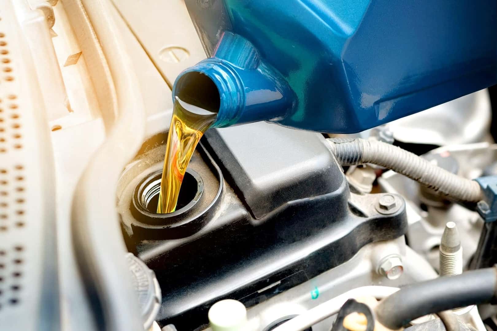 Exceptional Service and Maintenance