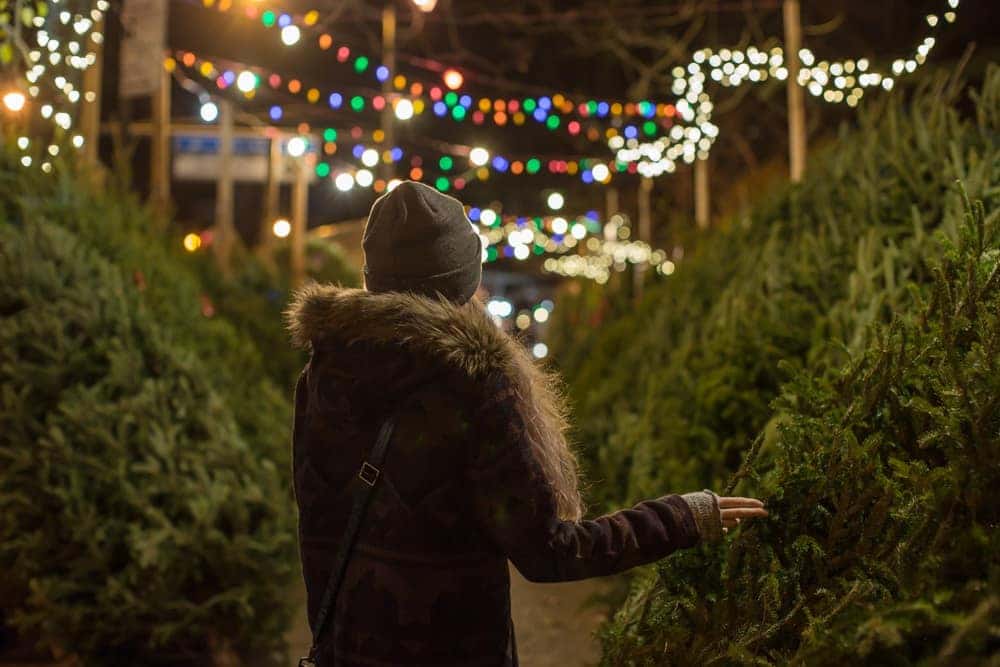 Christmas Tree Selection