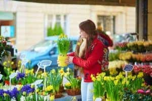 Parisian Style Flower Shop Near You