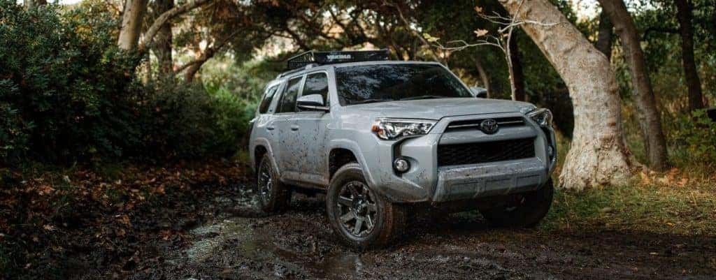 A new white 2021 Toyota 4Runner parked in a dense forest near Epping NH.