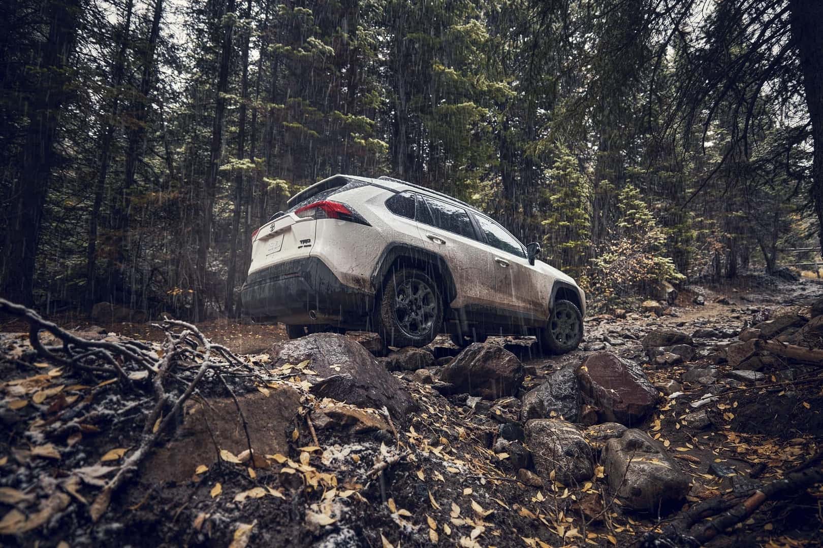 Toyota RAV4 vs Toyota RAV4 Hybrid | Ira Toyota of Manchester