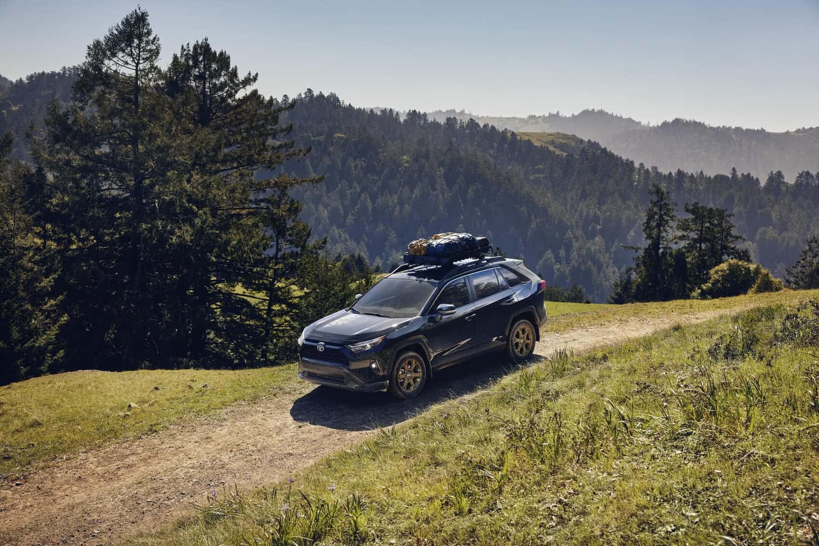 RAV4 Hybrid in the wilderness