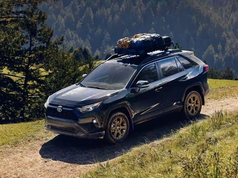 Electric Car Dealer near Me