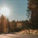Summer Car Tips - Protecting Your Lexus from Sun Damage