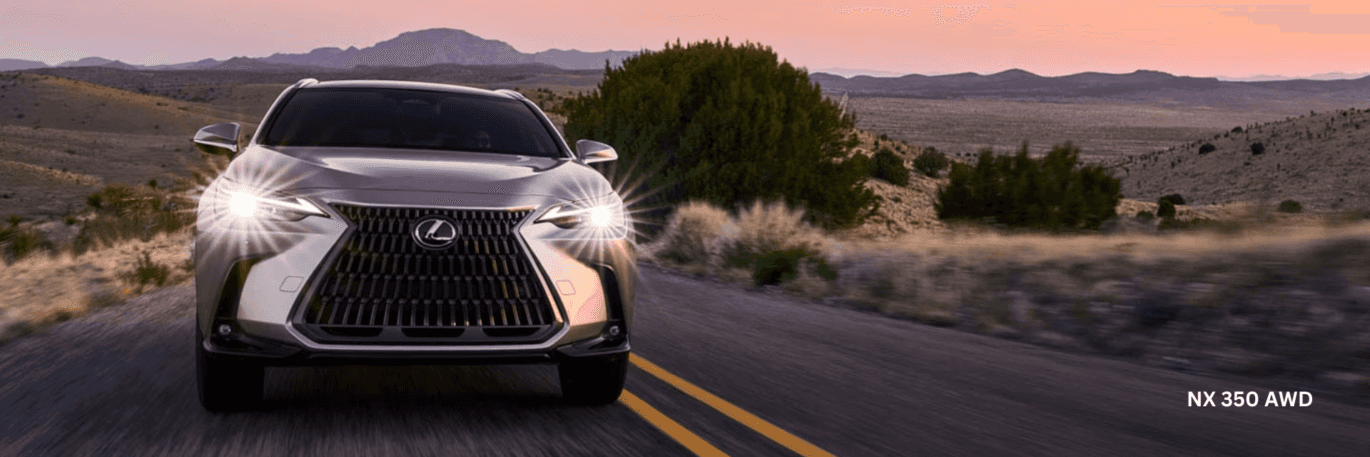 Lexus NX Trim Level Guide