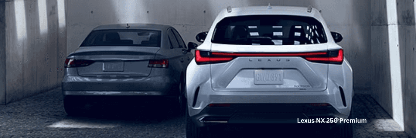 Lexus NX Trim Level Guide