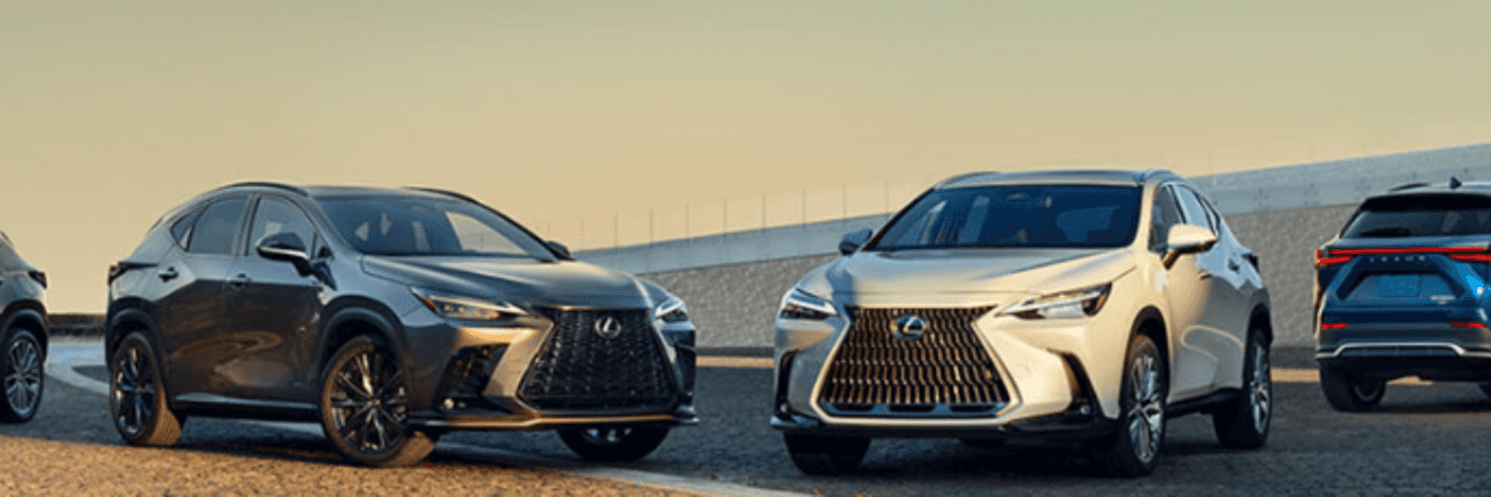 Lexus NX Trim Level Guide