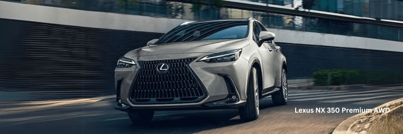 Lexus NX Trim Level Guide
