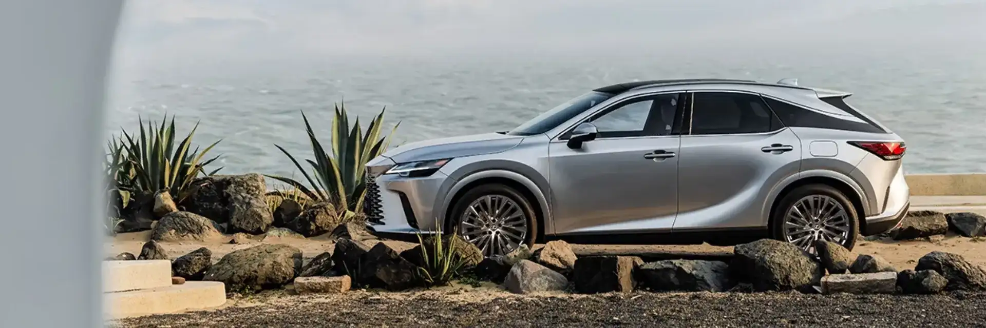 Lexus RX Family SUV