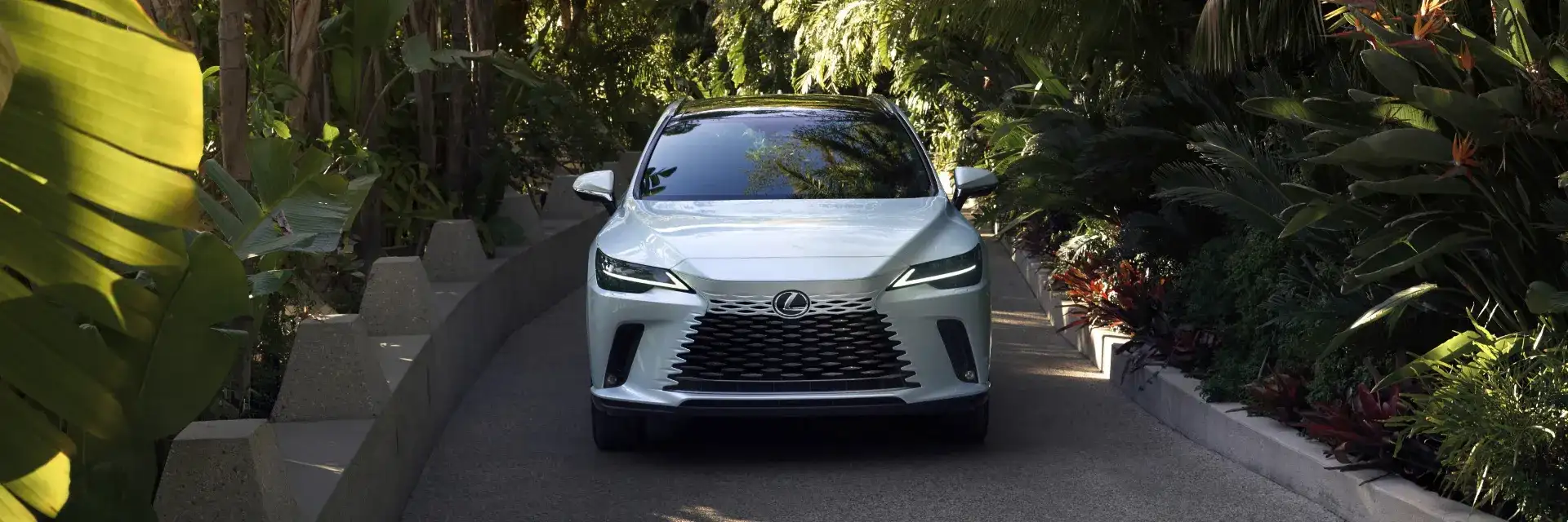 2026 Lexus RX Lineup