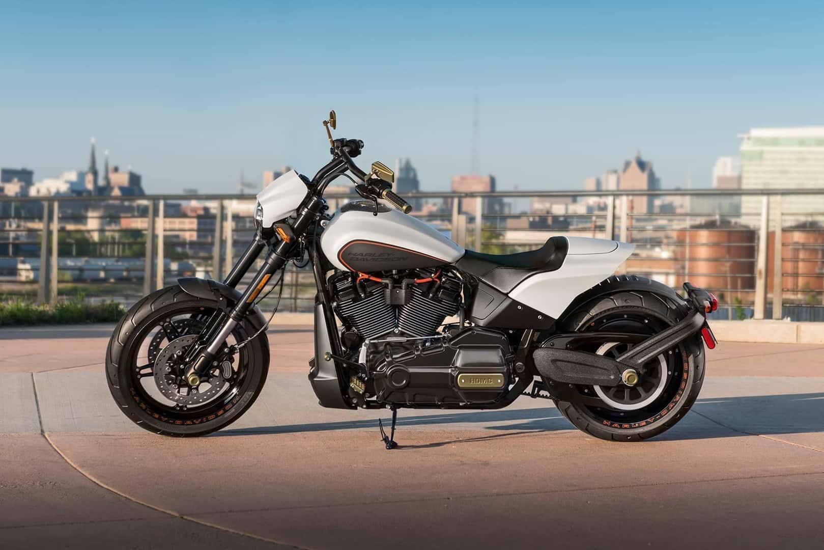 Harley-Davidson Softail Parked in Front of A City Skyline