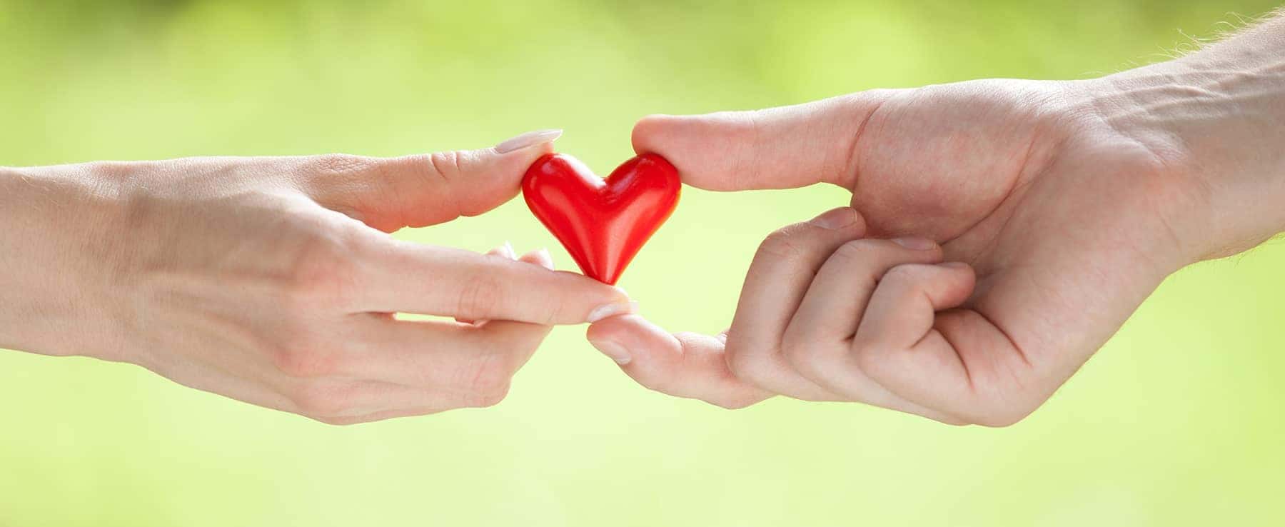Two Hands Holding a Heart