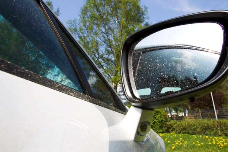 How to Wash Pollen Off Your Car Lexington M&L