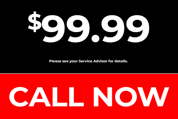 Call Now CTA