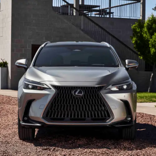 All-New 2022 Lexus NX Preview | North Park Lexus Rio Grande Valley