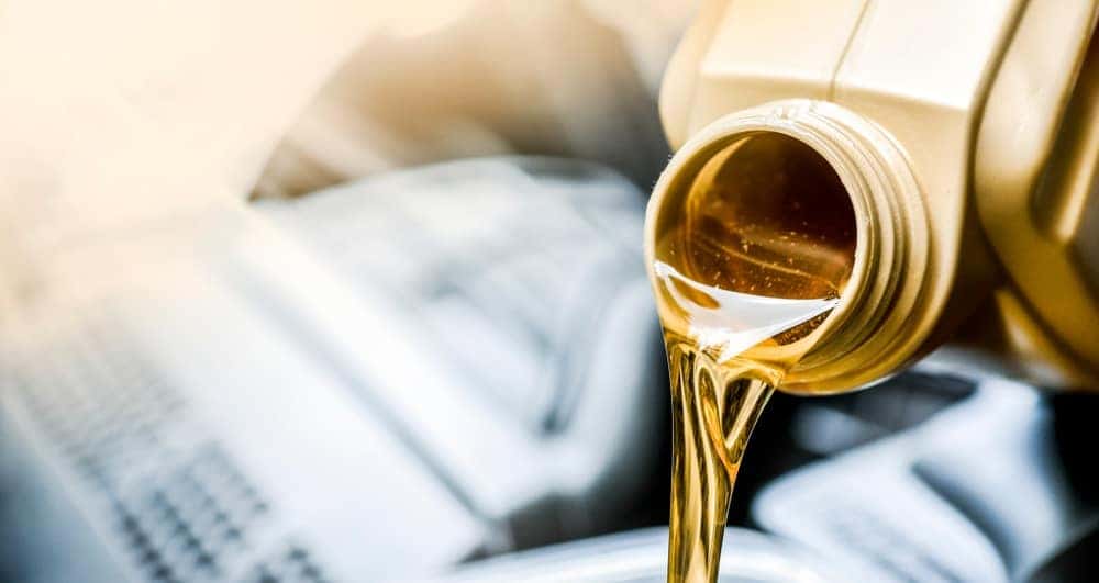 Honda Oil Change