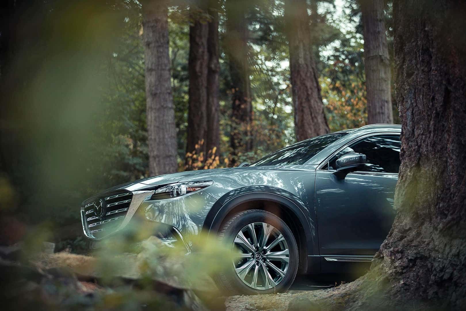 Used MAZDA Inventory