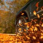 Car Driving Through Fallen Leaves
