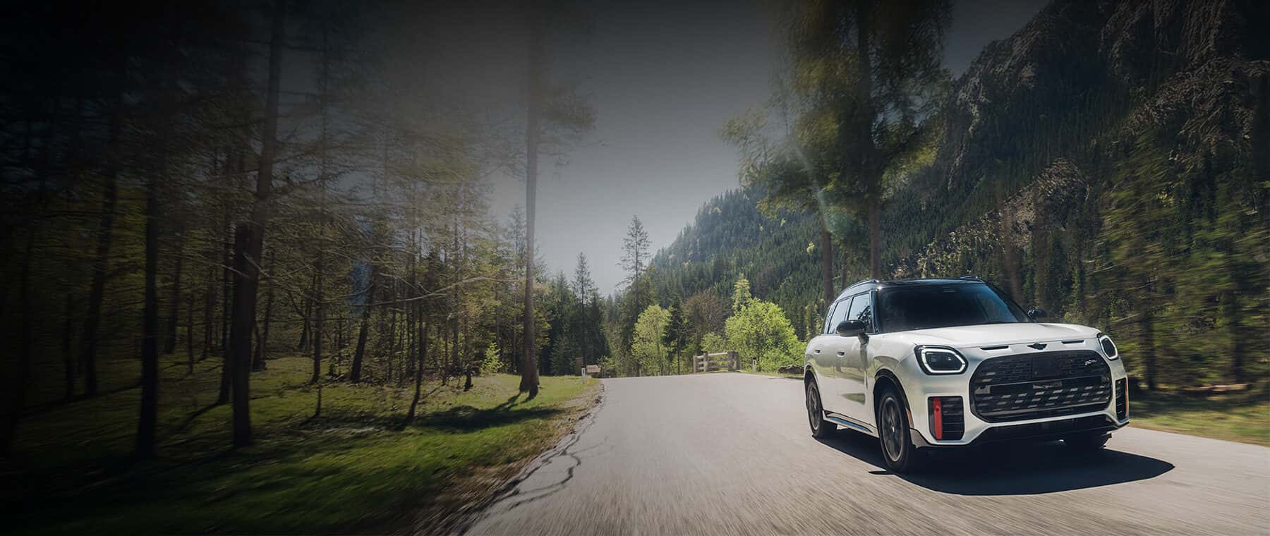 COUNTRYMAN DRIVING THROUGH WOODS