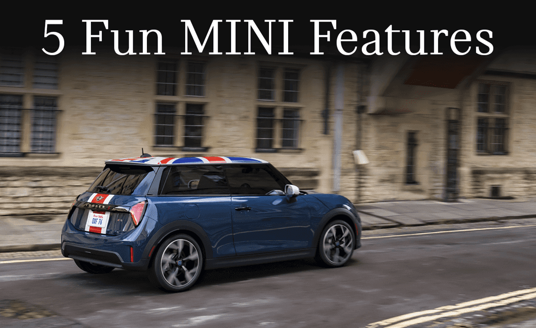 Cool & Fun Features You’ll Love