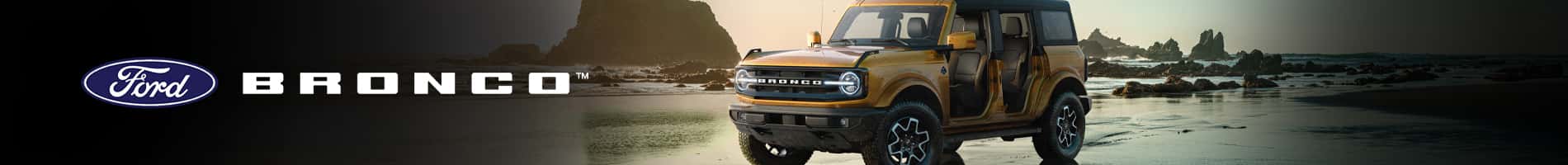 2022-08-18 Bronco_Desk