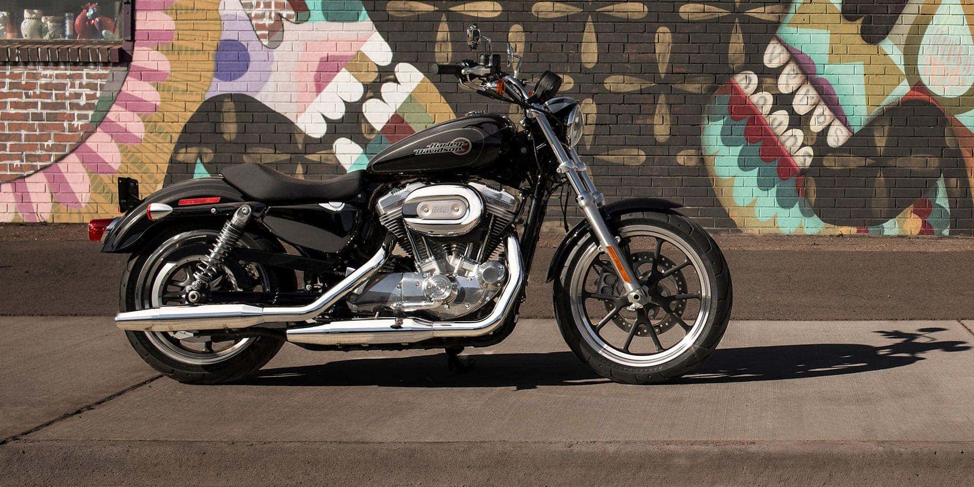 2019 sportster bike banner